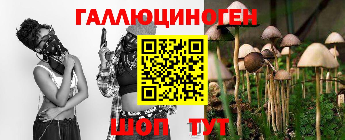 Псилоцибиновые грибы мицелий  Вход с VPN  Краснознаменск 